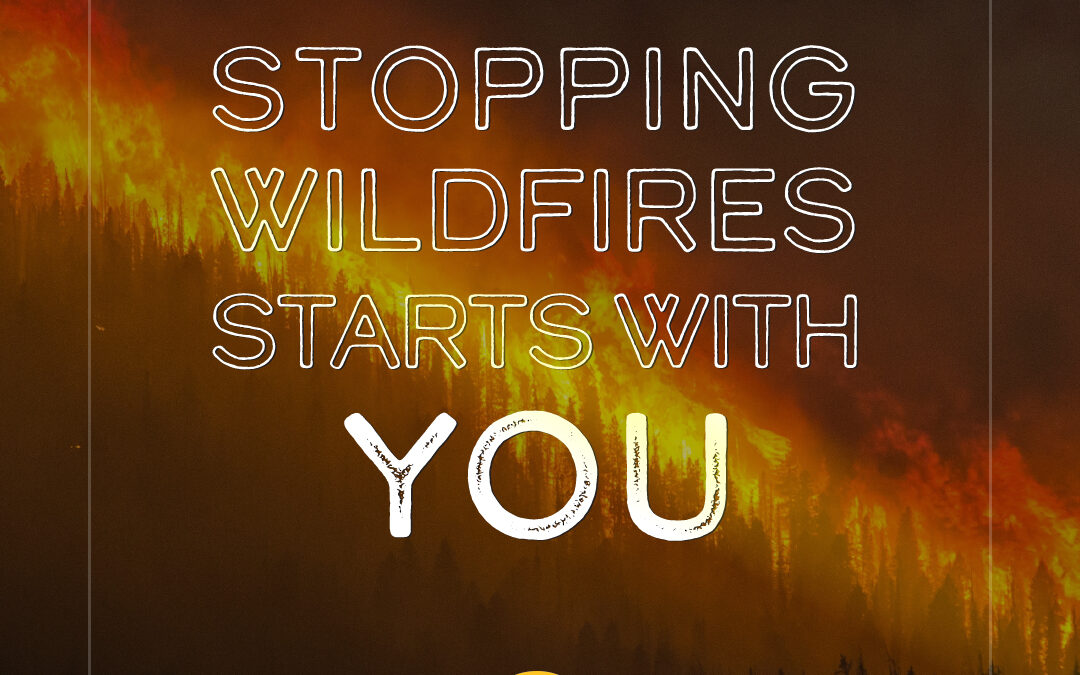 Wildfire Prevention Graphics and User Guide