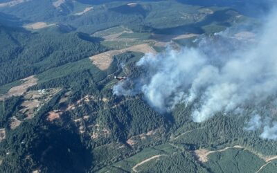 Firefighters Prepare for an Active Day on Tyee Ridge Complex – August 30, 2023 Morning Update