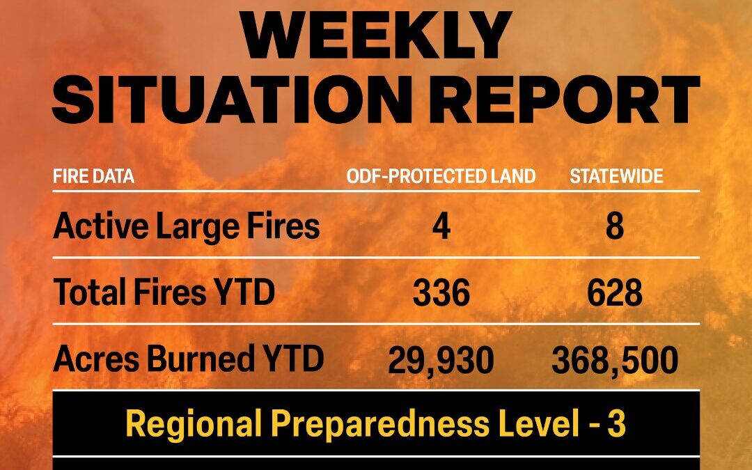 Wildland Fire Situation Report July 16, 2024
