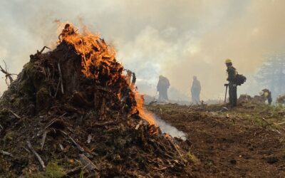 All ODF Districts are now in fire season ahead of coming heat wave