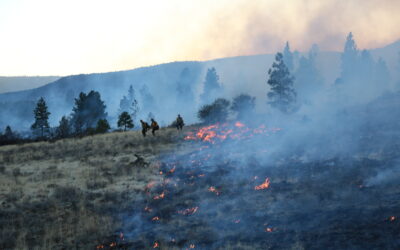 Mitigating Oregon’s Fire Risk: Prescribed Fire