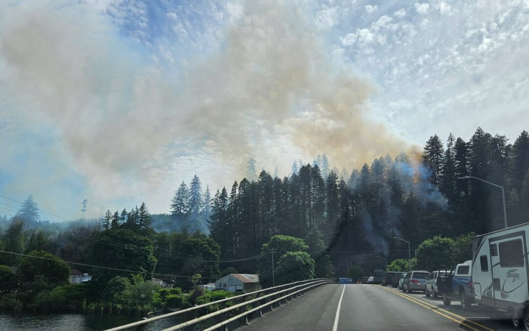 Firefighters mop up 4.6-acre Rice Road Fire in western Lane County