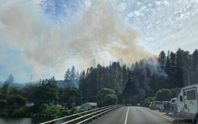 Firefighters mop up 4.6-acre Rice Road Fire in western Lane County