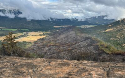 Upper Applegate Fire in Southwest Oregon now 55% contained
