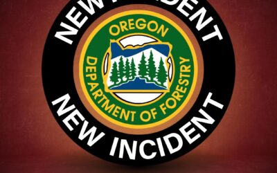 Oregon Department of Forestry deploys incident management team to Elk Fire