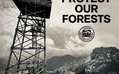 ODF Northwest Oregon Area urges Oregonians to remain vigilant in wildfire prevention