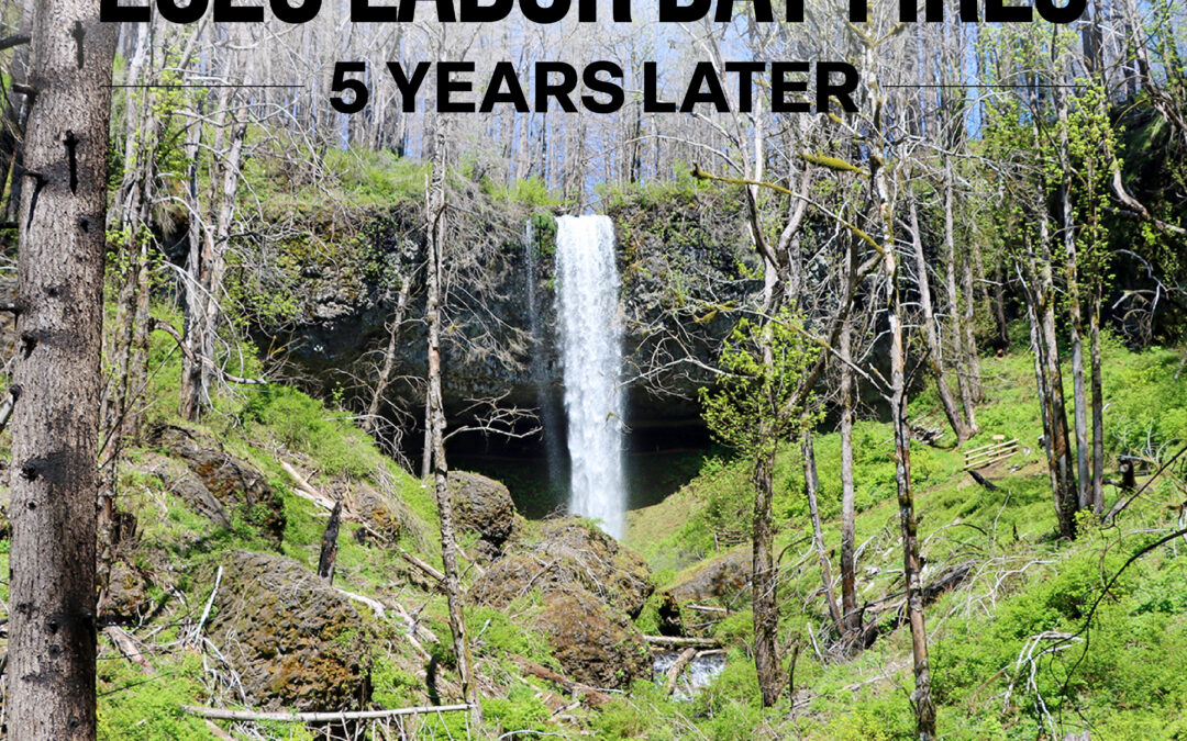 2020 Labor Day Fires: 5-Years Later