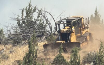 Oregon Dept. of Forestry assumes command of Brewer and Box Spring fires, enters unified command with Oregon State Fire Marshal