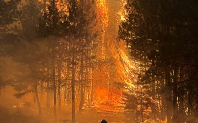 Preparing for Red Flag Warning, Thunderstorms, and Reinforcing Control Lines on Brewer and Box Springs fires