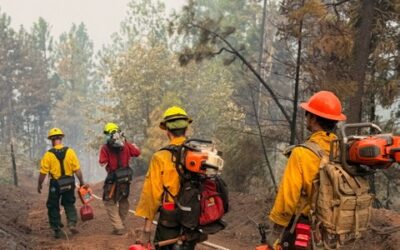 Containment increases to 17% on the East Evans Creek Fire, mop-up continues on July 21, 2026