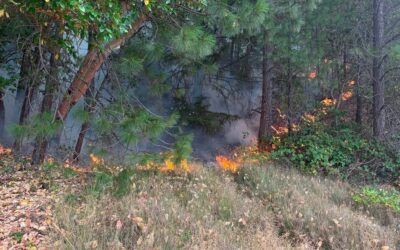 East Evans Creek Fire crews prepare for another day of challenging fire weather; ODF Incident Management Team 1 mobilizing