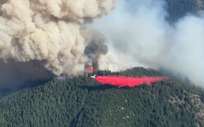 Gusty winds, high temperatures fuel active fire behavior on East Evans Creek Fire, firefighters hold all control lines