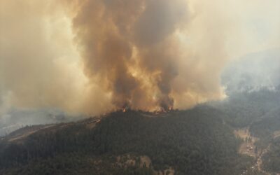 East Evans Creek Fire update for Monday, July 20