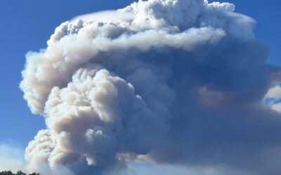 ODF brings in incident management team from Florida to take over East Evans Creek Fire