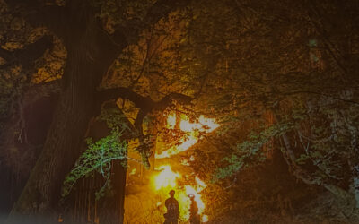 Active Fire Behavior and Spot Fires Drive Suppression Efforts on East Evans Creek Fire