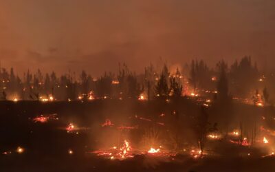 Brewer and Box Springs fire update for Monday, July 20