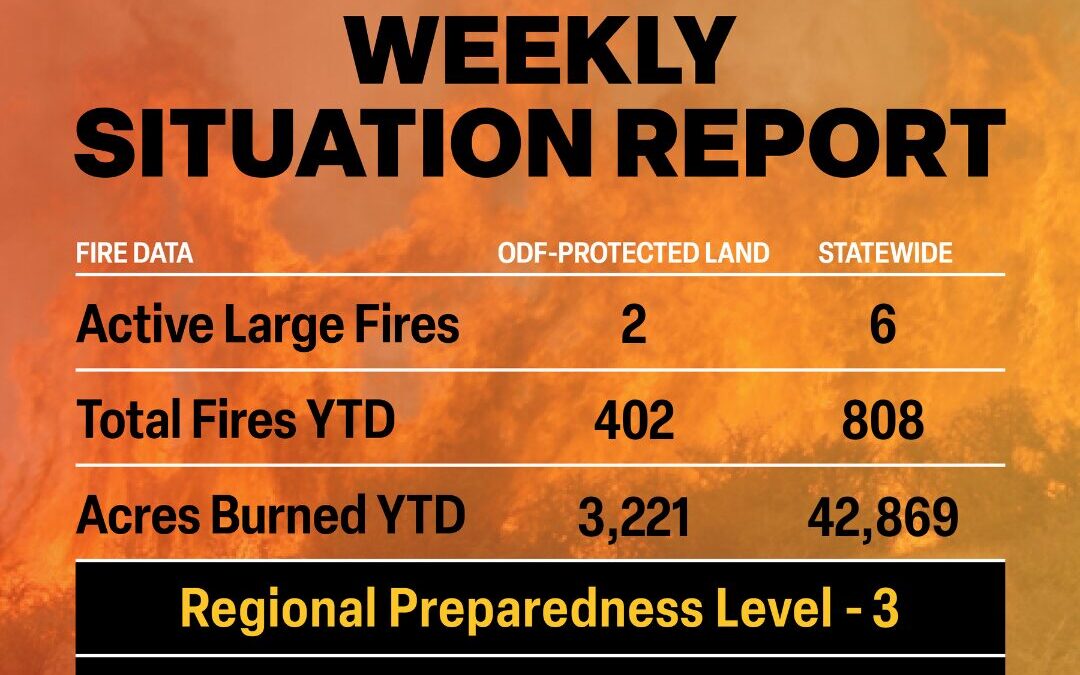 Weekly Situation Report: July 13, 2026