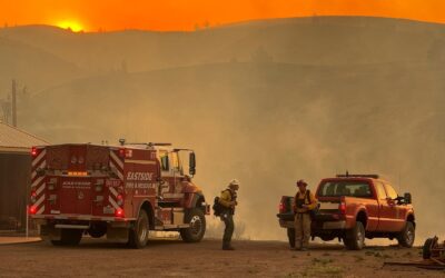 Rowe Creek Complex Fire Update for Monday, July 20, 2026