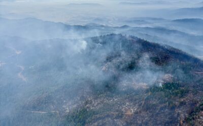 Mop-up operations continue on the East Evans Creek Fire, resources shifting due to progress across incident